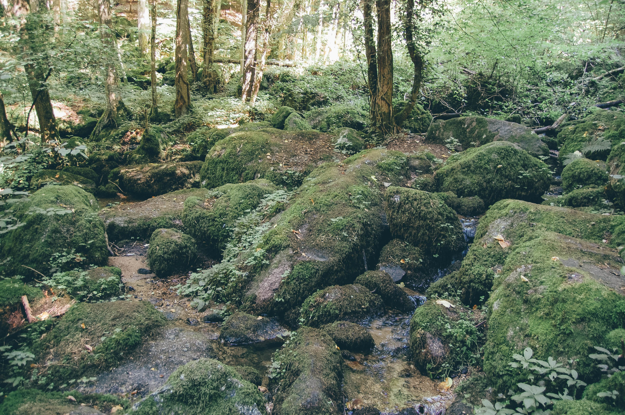 fairytailes come to life