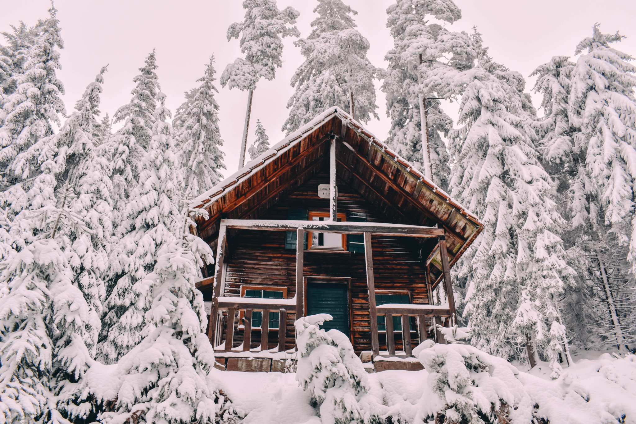 get to the black forest germany
